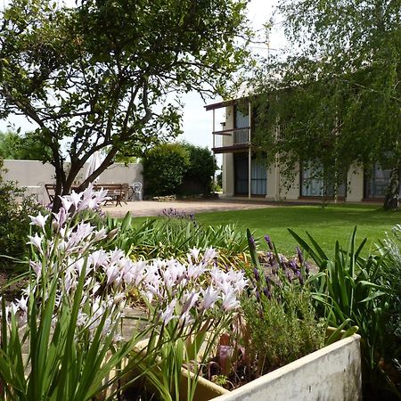 Coonawarra Motor Lodge Penola Buitenkant foto