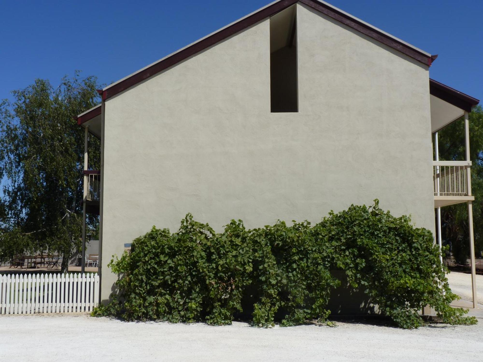 Coonawarra Motor Lodge Penola Buitenkant foto