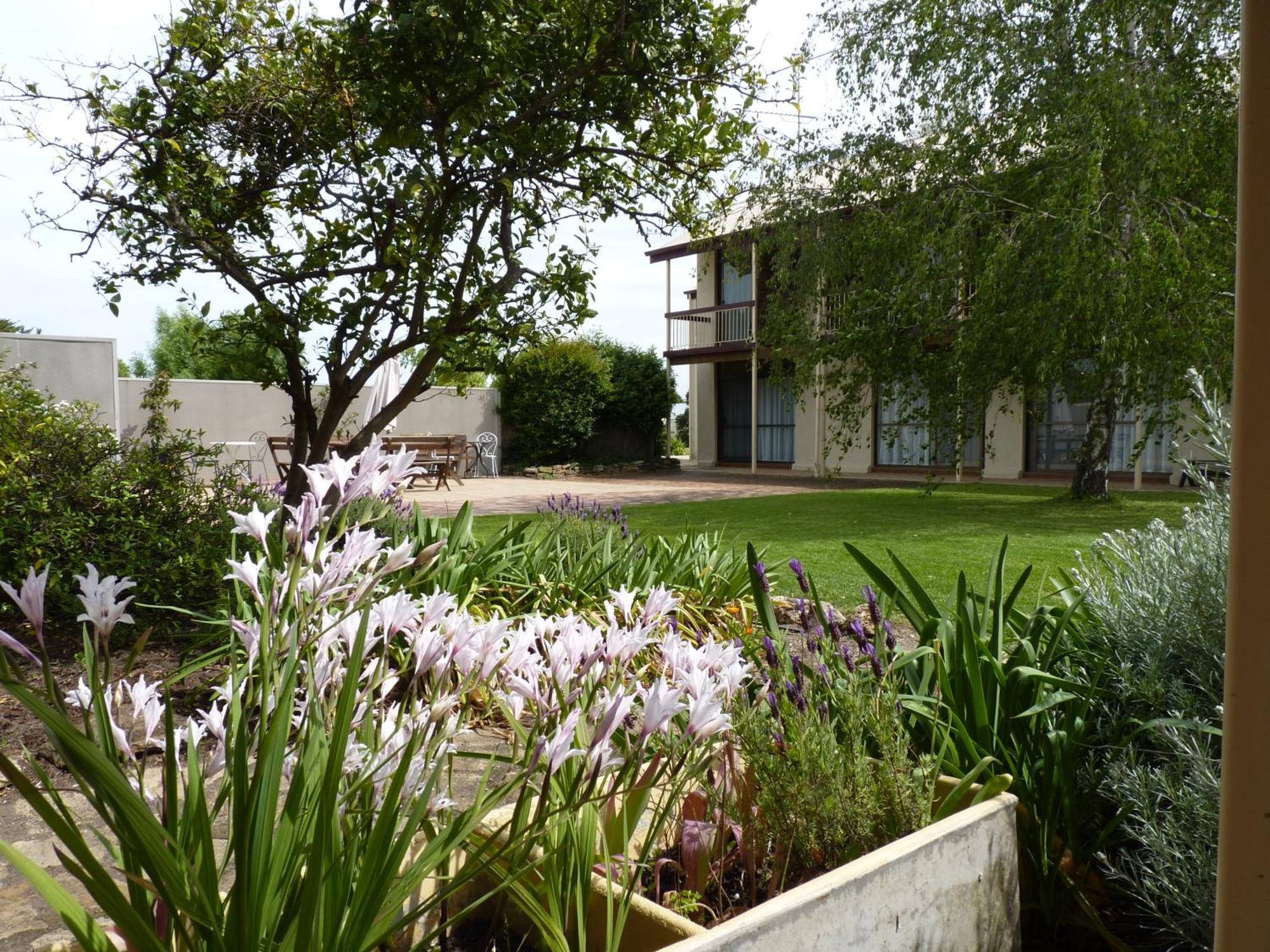 Coonawarra Motor Lodge Penola Buitenkant foto